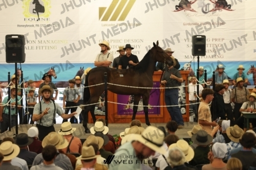 JHM_2519