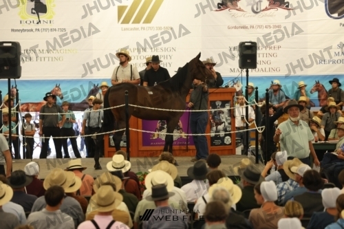 JHM_2522