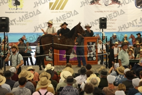 JHM_2523
