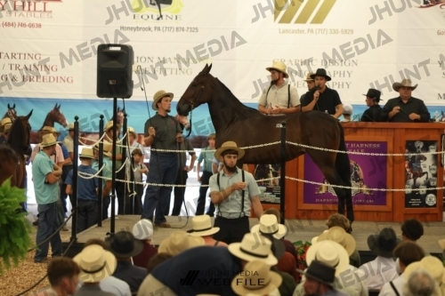 JHM_2524
