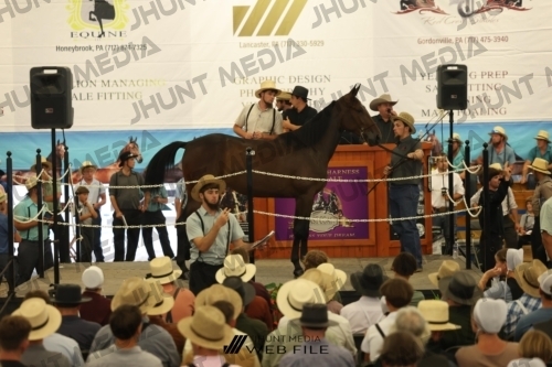 JHM_2528