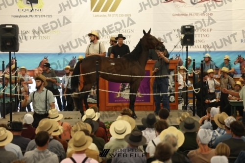 JHM_2531