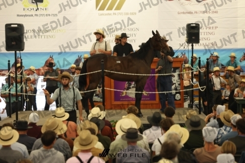 JHM_2532