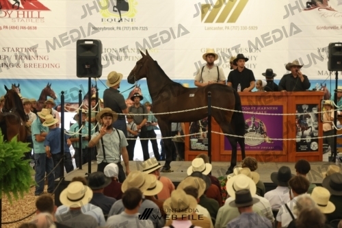 JHM_2533