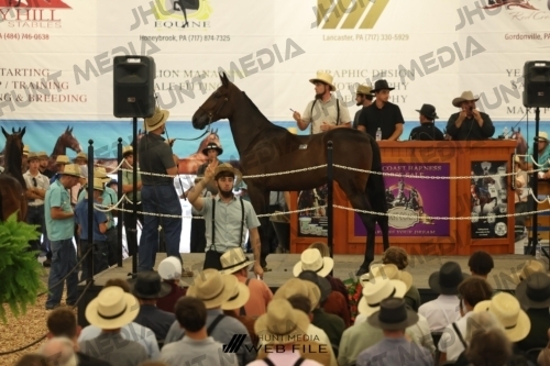 JHM_2534