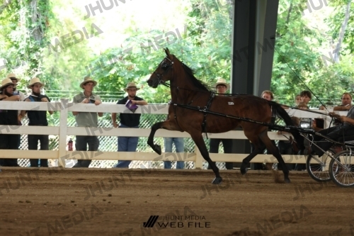 JHM_1074