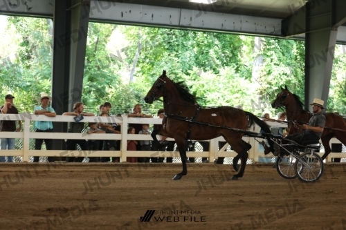 JHM_1078