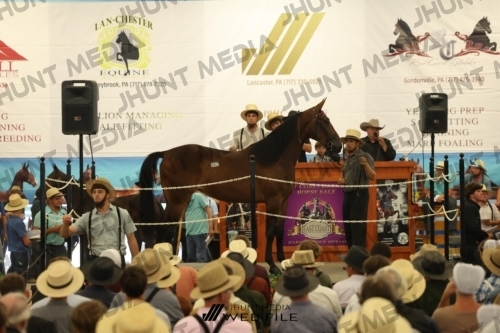 JHM_2541