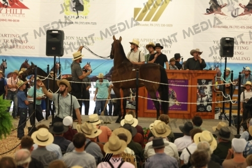 JHM_2546