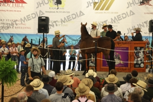 JHM_2548