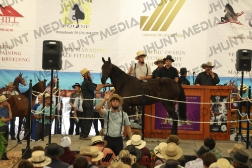 JHM_2554