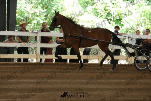 JHM_0046