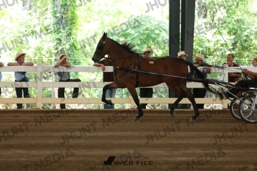 JHM_0049