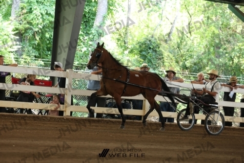 JHM_0053