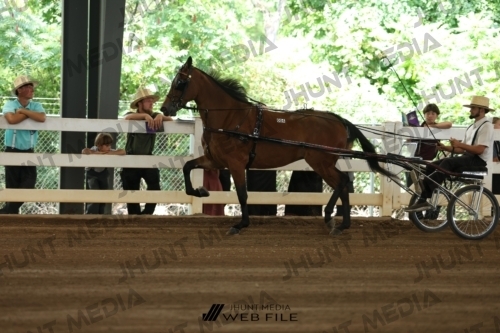 JHM_0055