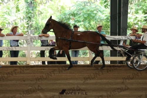 JHM_0056
