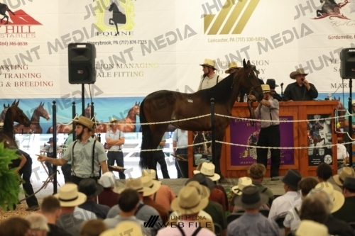 JHM_2571