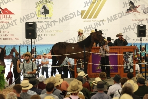 JHM_2572