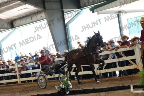 JHM_0369