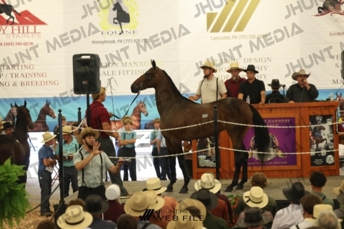 JHM_2579