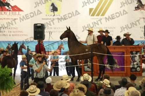 JHM_2580
