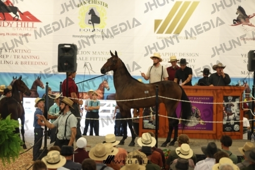 JHM_2582