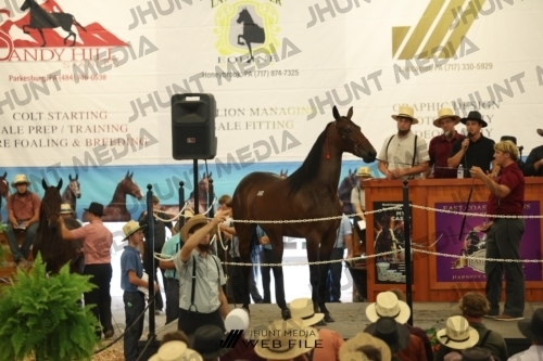 JHM_2584
