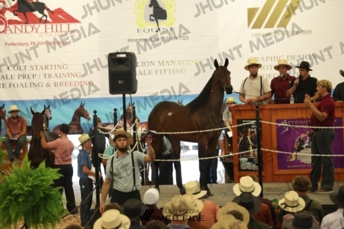 JHM_2585