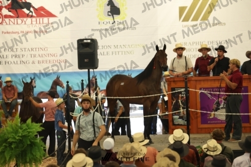 JHM_2586