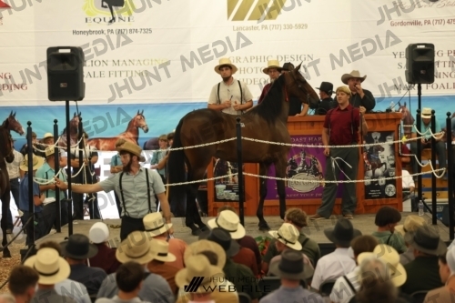 JHM_2590