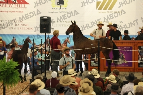 JHM_2591