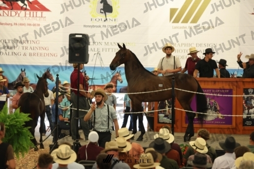 JHM_2593