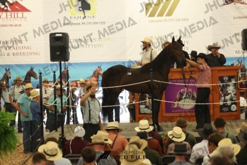 JHM_2594