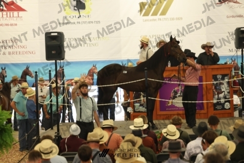 JHM_2595