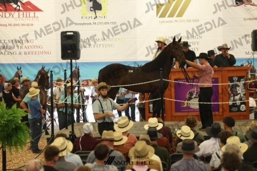 JHM_2596
