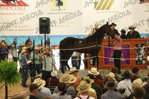 JHM_2601