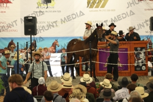 JHM_2609