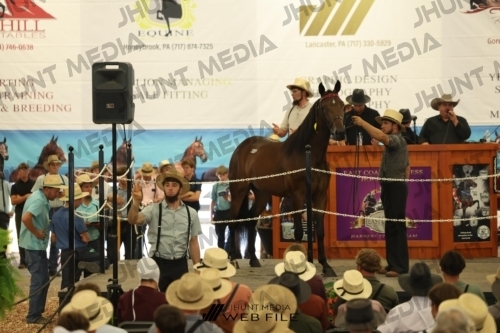 JHM_2610