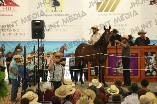 JHM_2611