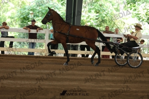 JHM_0059