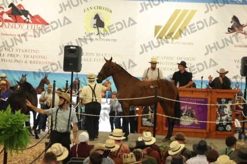 JHM_2619