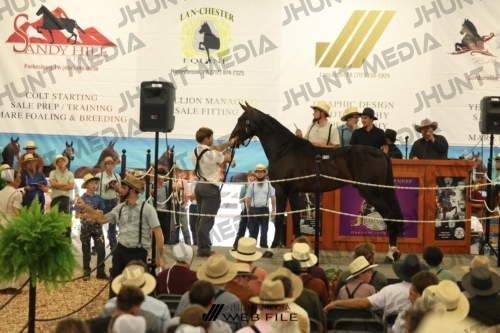 JHM_2622