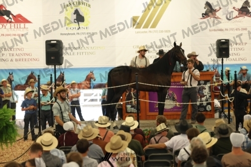 JHM_2626