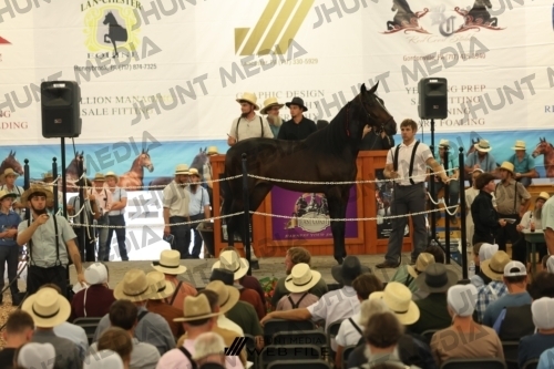 JHM_2628