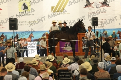 JHM_2629