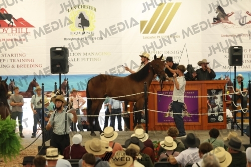 JHM_2631
