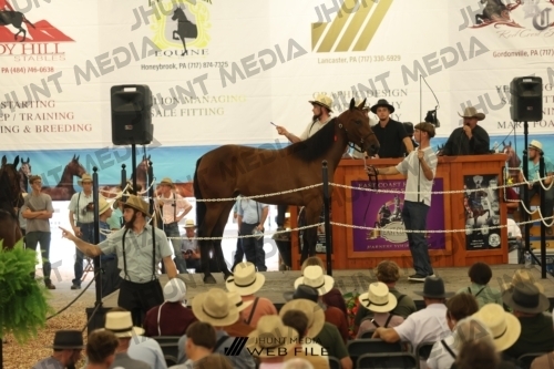 JHM_2632