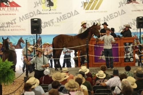 JHM_2633
