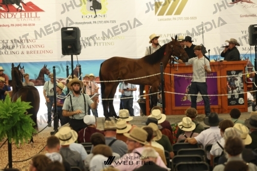 JHM_2635