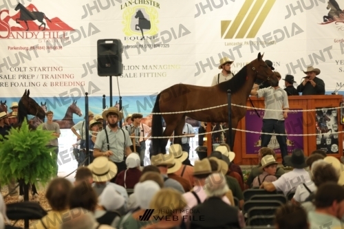 JHM_2637